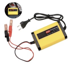 Caricabatteria 12V 2A per batterie al piombo acido 7Ah 12Ah 14Ah 20Ah  - 1 Caratteristiche principali

Display LCD digitale con 