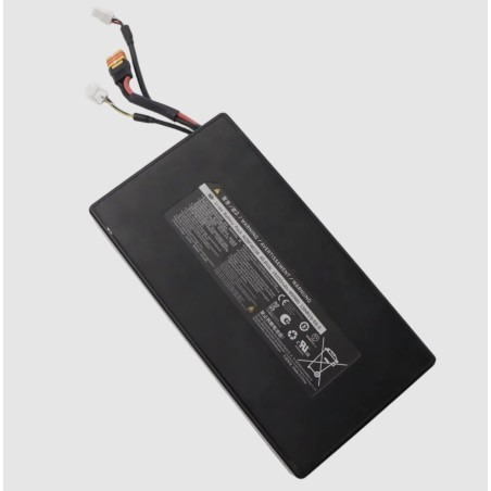 Lithiumaccu 899 Wh 19200 mAh 46,8 V voor Segway GT3, GT3 Series of vergelijkbaar - verdubbel je actieradius  - 2 Geschikt voor S