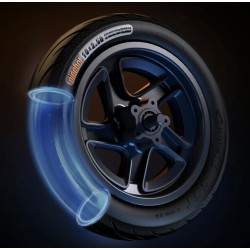 Komplett első felni féktárcsával Segway F2, F2 Plus, F2 Pro vagy hasonlókhoz - 10x2,5 hüvelyk Segway - Ninebot - 6 Komplett első